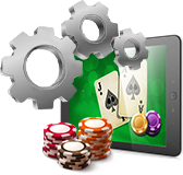 Blackjack Software guide